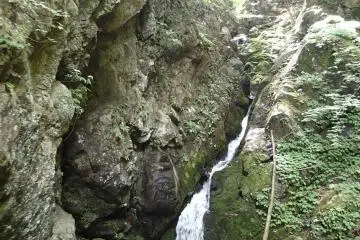 The constant flow (Photo: Matthew Shewchuk)