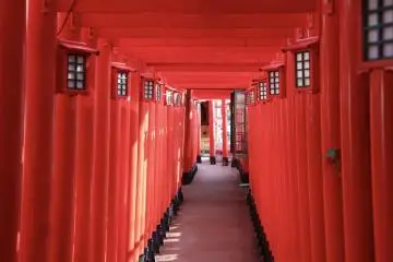 Okinawa Tour Snapshot (Photo: e-CHARIty)
