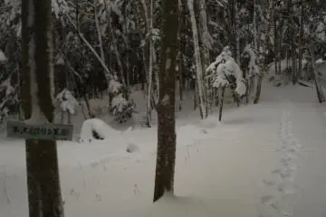 Following the footprints in the snow (Photo: Matthew Shewchuk)