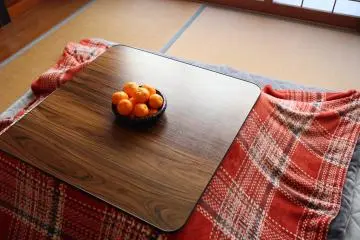 Kotatsu Table (Shutterstock.com)
