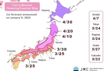 Photo: Japan Meteorological Corporation (JMC)