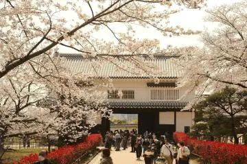 Photo: <a href="https://unsplash.com/photos/a-group-of-people-walking-through-a-park-under-cherry-blossom-trees-WeyKoipbbbw" target="_blank" rel="noreferrer noopener nofollow">Perry Merrity II</a> / Unsplash