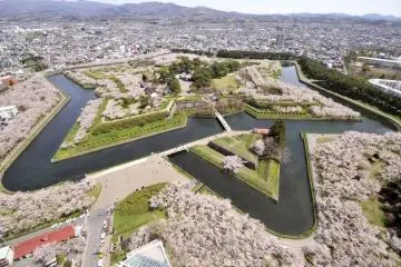 Sakura surrounding the star-shaped Goryokaku fort in Hakodate (Photo: <a href="https://commons.wikimedia.org/wiki/File:Goryoukakusakura.jpg" target="_blank" rel="noreferrer noopener nofollow">函館市観光局</a> / <a href="https://creativecommons.org/licenses/by-sa/4.0/deed.en" target="_blank" rel="noreferrer noopener nofollow">CC BY-SA 4.0</a>)