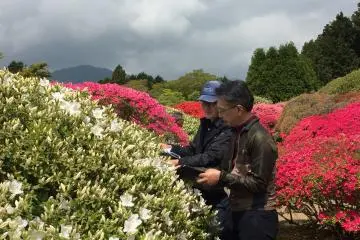 Photo: Odakyu Resorts Co., Ltd.