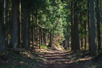 Hiking Mount Anbou