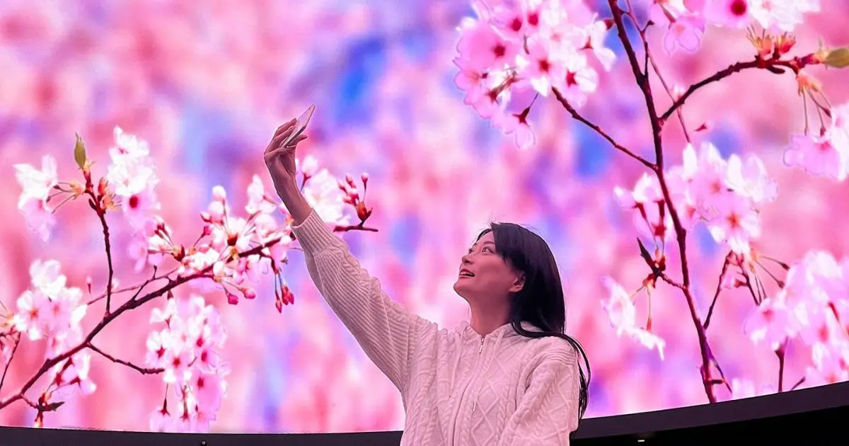tokyo-sakura-welcome-dome-