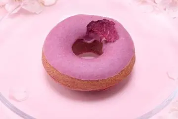 One of the vegan, gluten-free desserts on offer at the event (Photo: Tokyo Skytree Town)