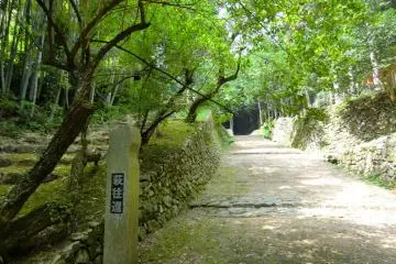 Hagi Okan Maranic and Walk 2026