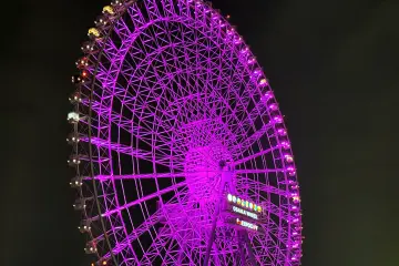 Photo: EXPO Ferris Wheel LLC