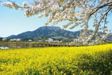 Photo: Niigata Prefecture Tourism Association