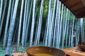 The Tea Ceremony in Japan