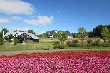 Photo: <a href="https://commons.m.wikimedia.org/wiki/File:Bokka002.jpg" target="_blank" rel="noreferrer noopener nofollow">Opqr</a> / <a href="https://creativecommons.org/licenses/by-sa/4.0/deed.en" target="_blank" rel="noreferrer noopener nofollow">CC BY-SA 4.0</a>