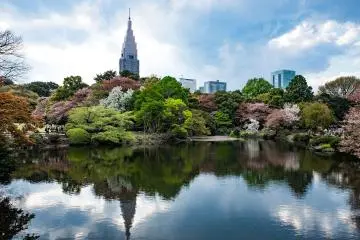 Tokyo Named World's Top City for Green Spaces
