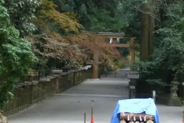 Torii, downhill view