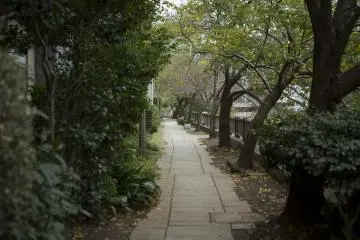 Matsukawa River