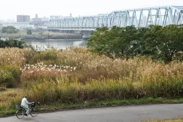 Cycling in Japan (Photo: Sebastian Herrmann / Unsplash)