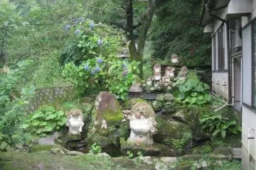 Tanuki Yu
