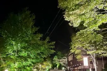 Spring Green Light Up at Fukuchi Onsen 2025