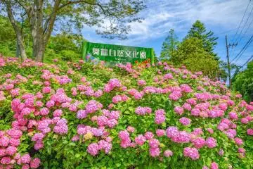 Photo: Maizuru City