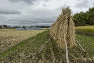 A country walk in Kannami