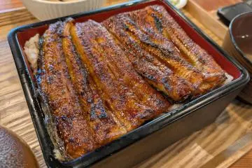 Asakusa GYUUNA Yadoki: Premium Eel & Wagyu Beef in Asakusa