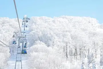 Winter Adventure in Akita, Japan