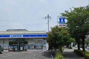 Gallery image