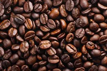 A close-up of roasted coffee beans (Photo: LarysaPol / Shutterstock.com)