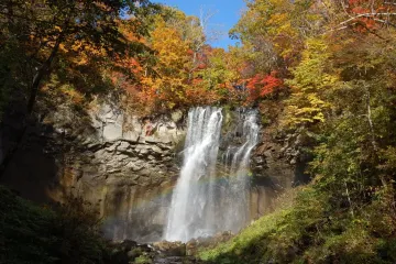 Takino Autumn Leaves Festival 2026