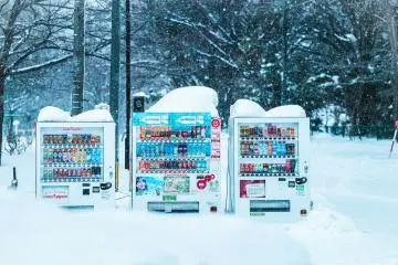 Japan's Best Winter Adventures for 2026