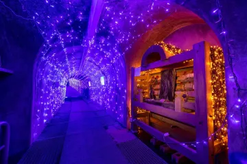 Fun Winter Illuminations in Takayama