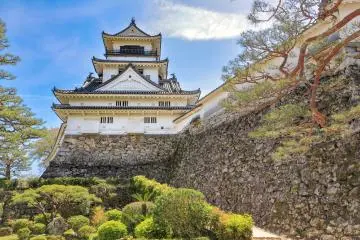 Looking up at Kochi Castle