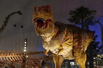 Fukui Prefectural Dinosaur Museum 