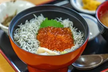 Kama-age shirasu don with salmon roe (Photo: Fabien Recoquille)