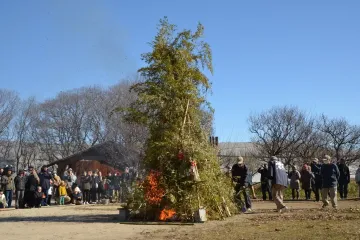 Dondoyaki Festival at Hitachi Seaside Park 2027