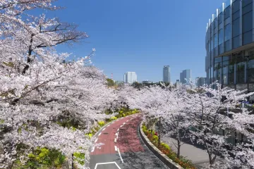 Photo: Tokyo Midtown (Roppongi) / PR Times