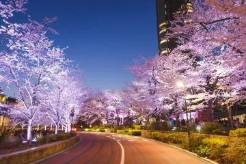Photo: Tokyo Midtown (Roppongi) / PR Times