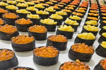Aichi Prefecture: The Heart of Japan’s Umami Culture