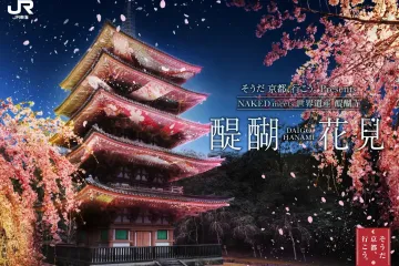Daigo Hanami 2026