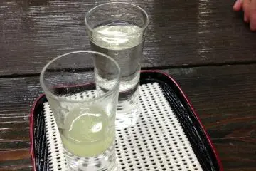 Sasara, a Sake Bar in Utsunomiya