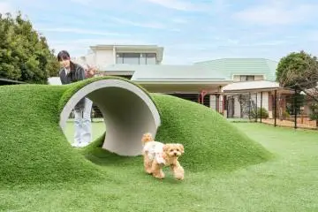 Izu Kogen: Japan’s Most Dog-Friendly Destination