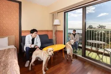 Dog-friendly room