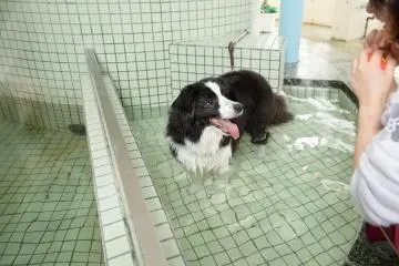 Hot spring relaxation for everyone