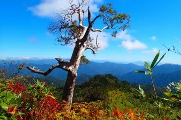 Naeba Fall Hiking