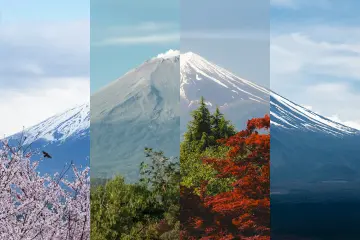Best Time To Visit Japan — Season By Season