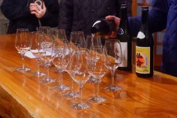 Craft Sake Week 2026: Two Tochigi's Sake Stories, Told From the Source