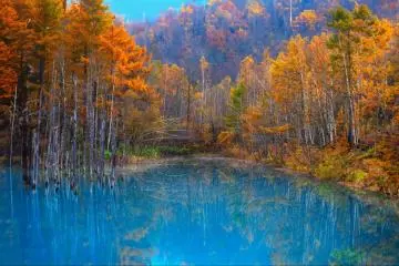 Autumn scenes, Hokkaido (Photo: Travelwith Nikon / Shutterstock.com)