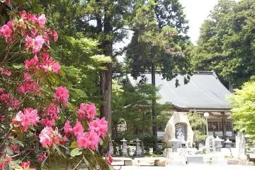 Shikoku's 88 Temple Pilgrimage Among World's Greatest Hikes