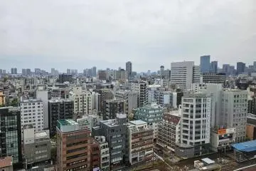 Looking out over Ryogoku from the Edo-Tokyo Museum