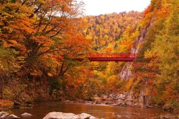 Futami Suspension Bridge